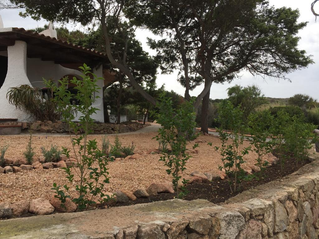 Appartamenti In Villa La Marinedda Isola Rossa Exterior foto